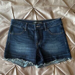 Prosperity Women's Denim Shorts - Blue